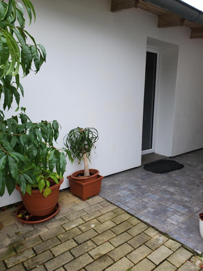 Appartement Apartman Stary Liskovec à Brno Extérieur photo